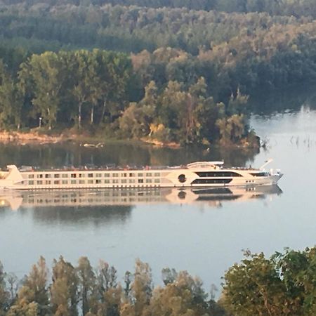 Kuca Za Odmor Brzica Erdut Villa Eksteriør bilde