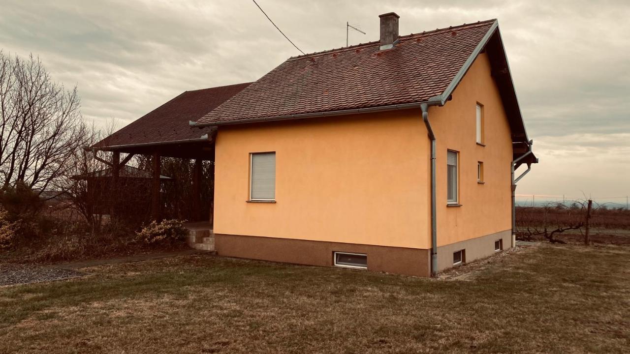 Kuca Za Odmor Brzica Erdut Villa Eksteriør bilde