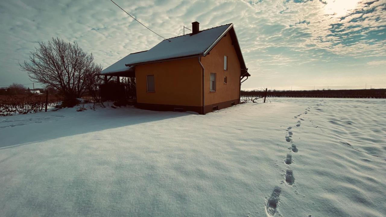 Kuca Za Odmor Brzica Erdut Villa Eksteriør bilde